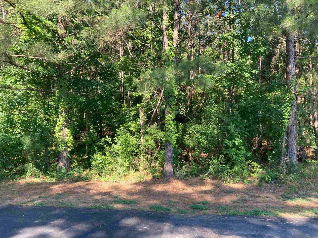 1131 Glen Eagle Drive - Photo 1