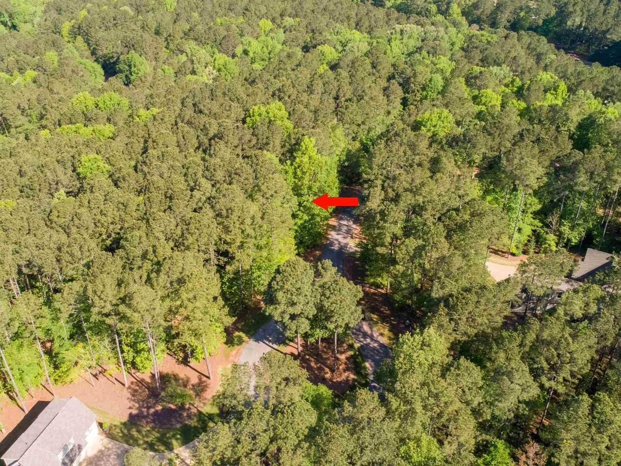 1011 Tappens Place - Photo 1