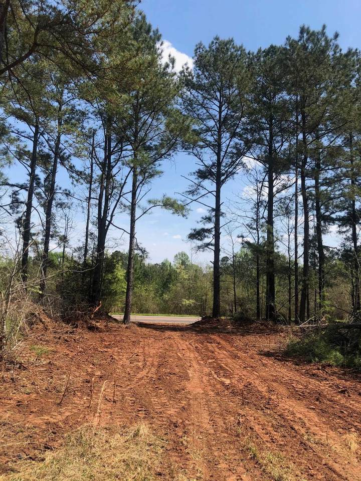 0 Goolsby Road - Photo 1