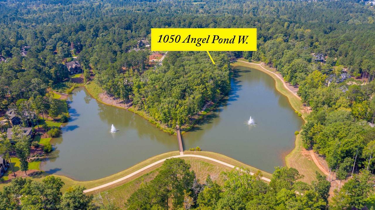 1050 Angel Pond West - Photo 1