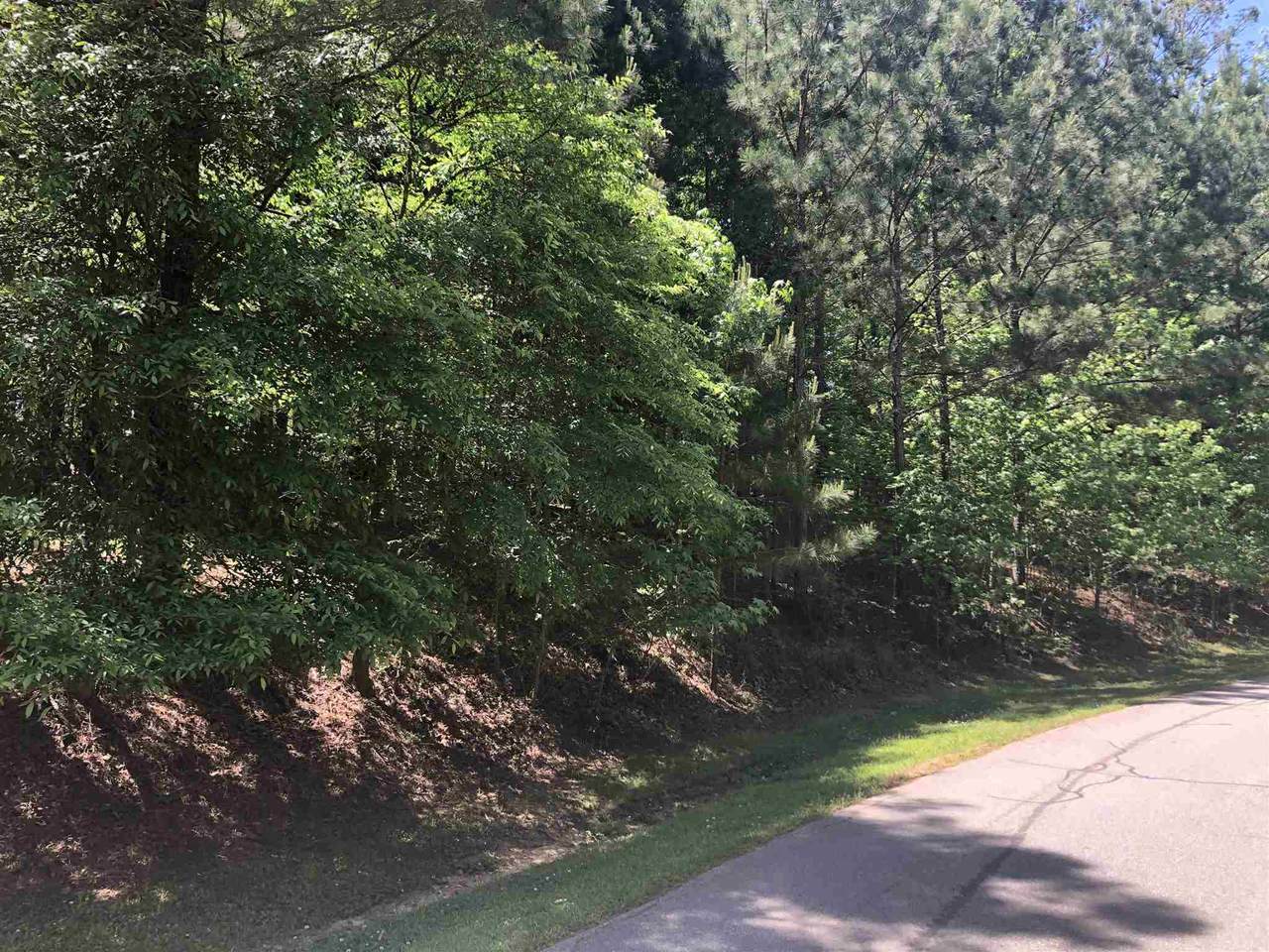 1390 Snug Harbor Drive - Photo 1