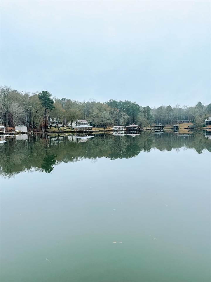 225 Pinewood Drive - Photo 1