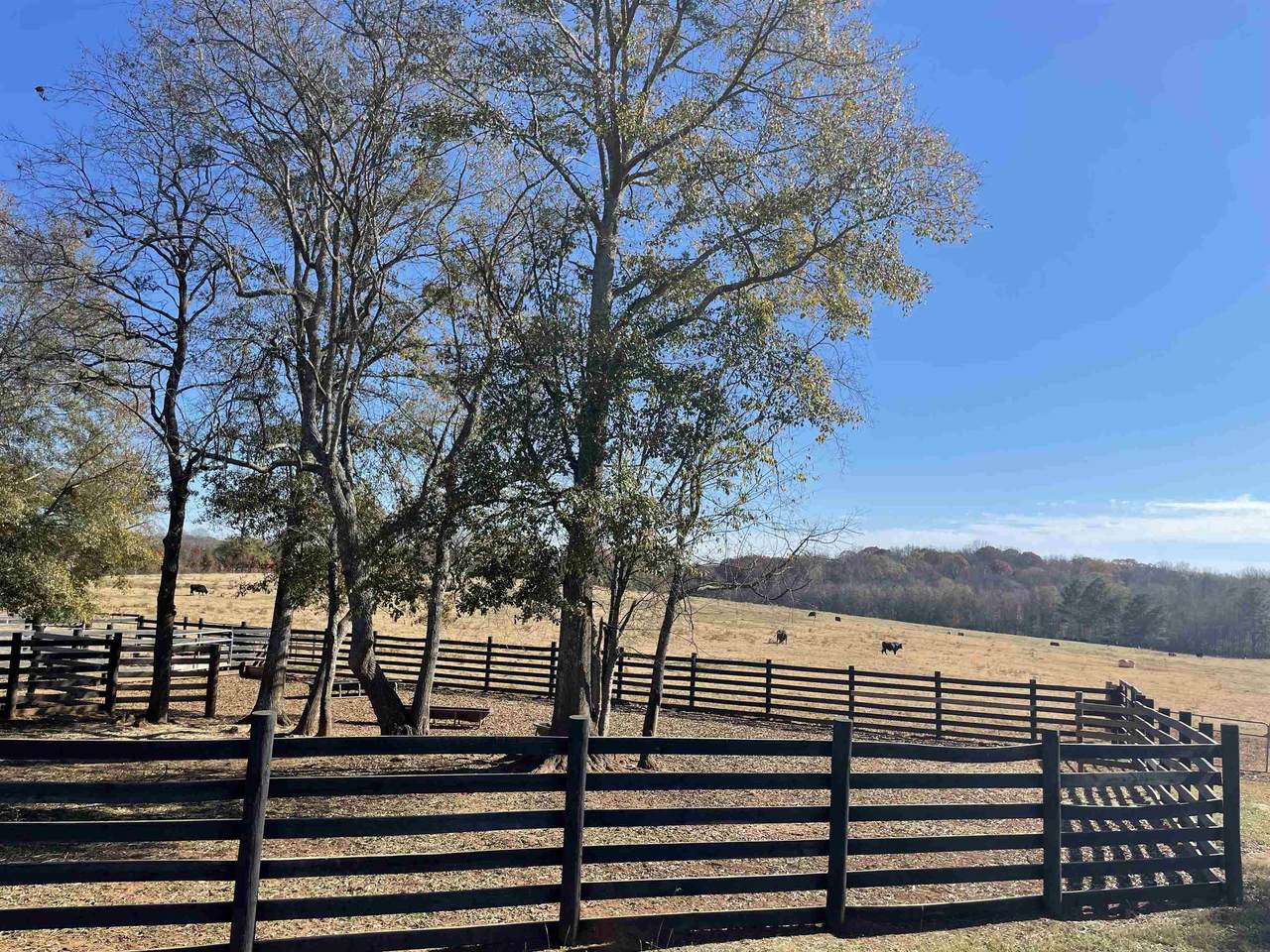 0 Bonner Lane - Photo 1