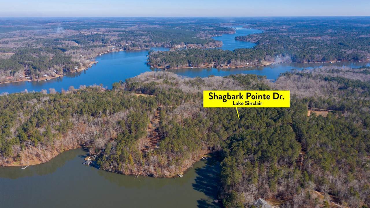 0 Shagbark Pointe Drive - Photo 1