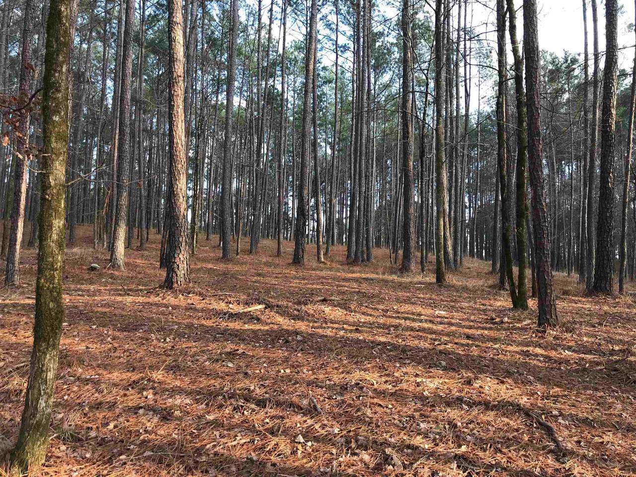1030 Pinehurst Drive - Photo 1