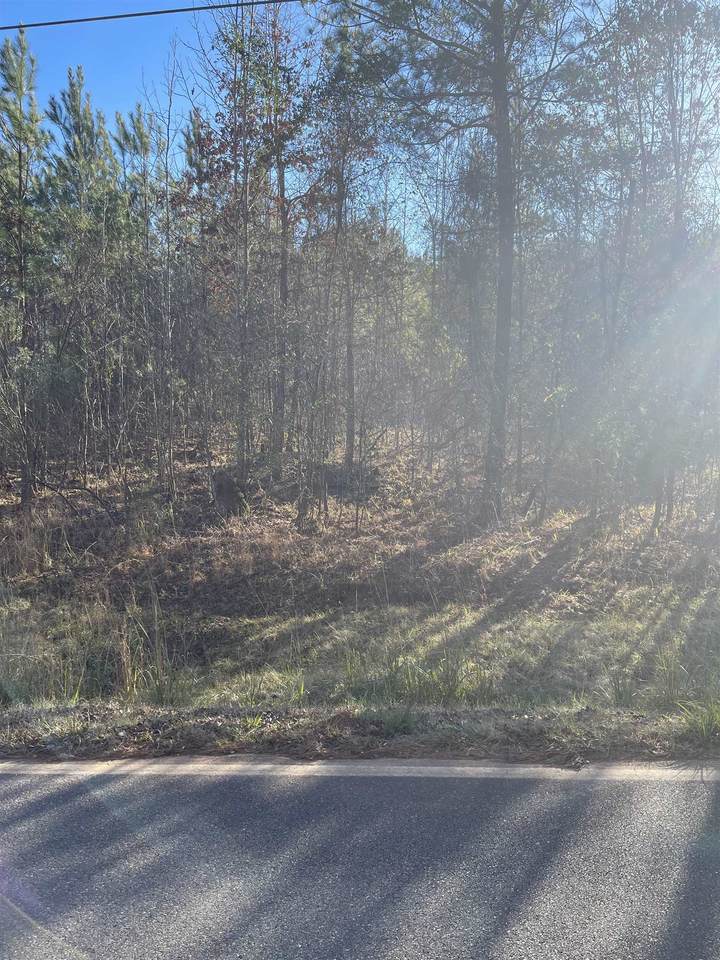 Lot 40 Long Shoals Avenue - Photo 1