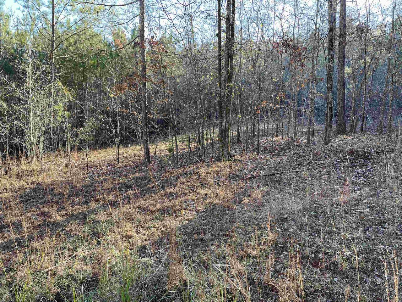 Lot 38 Long Shoals Avenue - Photo 1