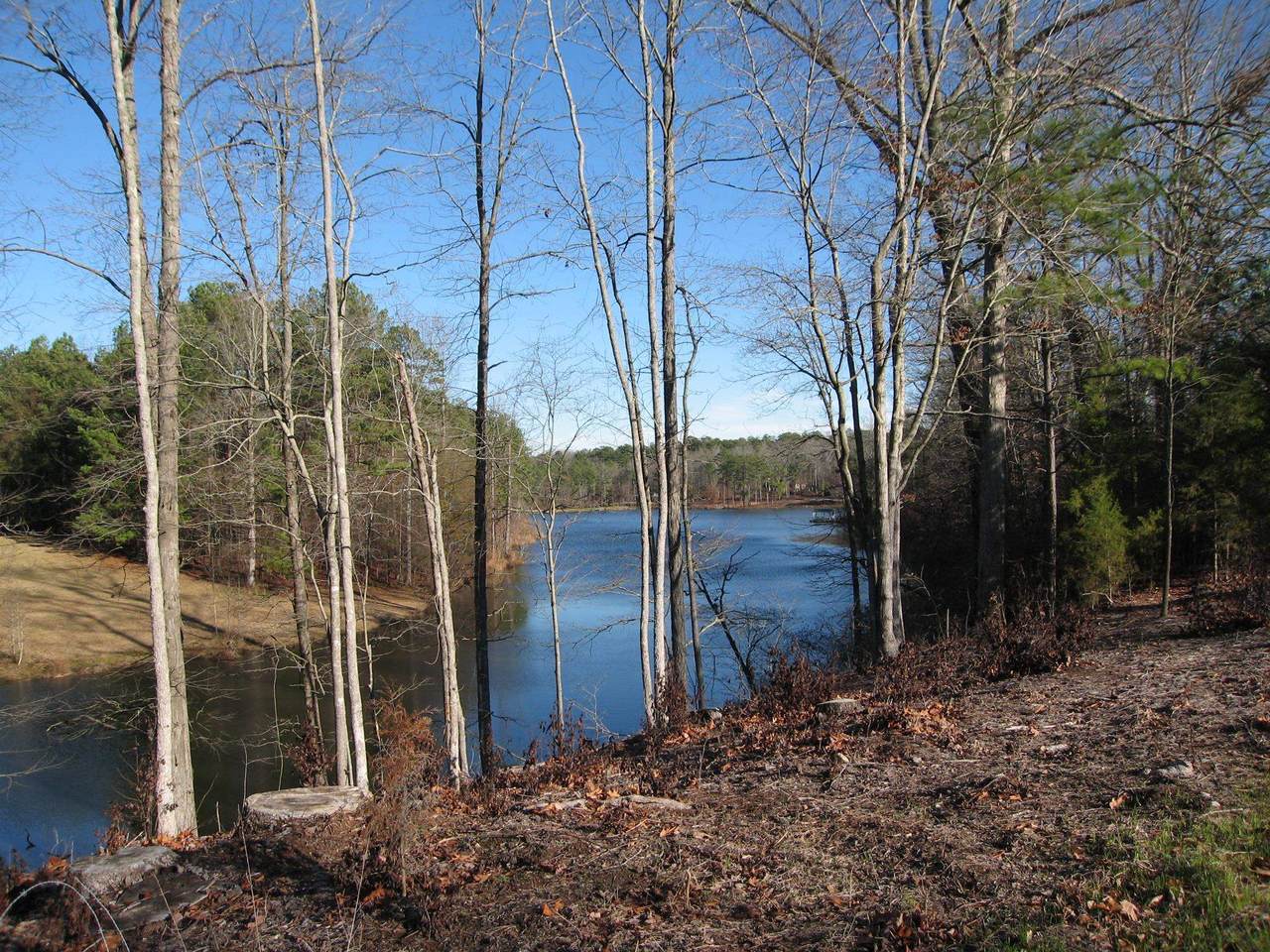 7.3 acres Arabian Way - Photo 1