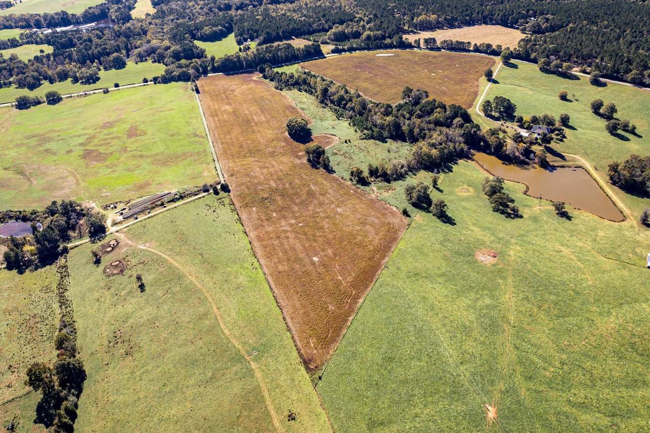Lot 3 Sandy Creek Road - Photo 1