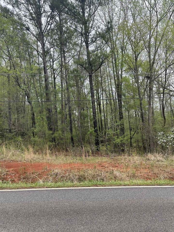 Lot 420 Little River Trail - Photo 1