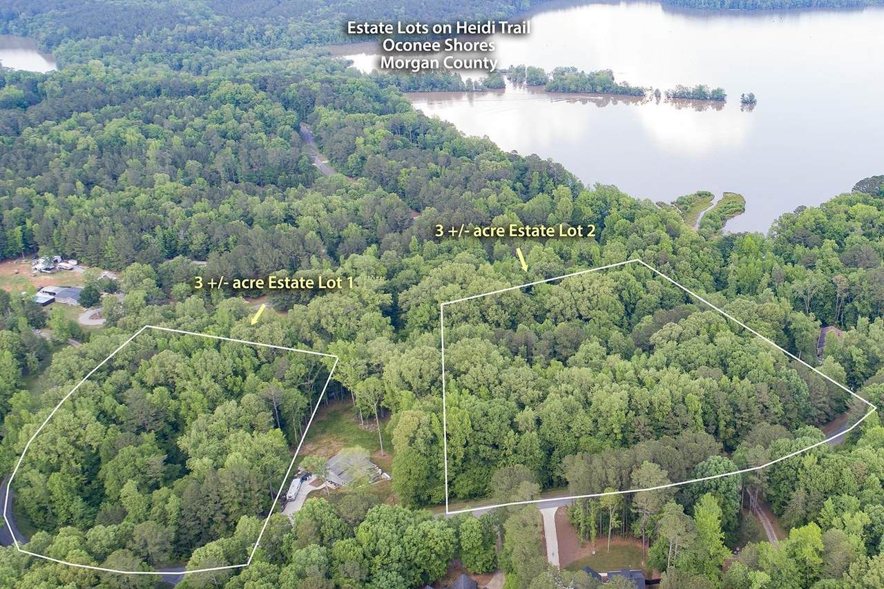 Lot 1 Heidi Trail - Photo 1