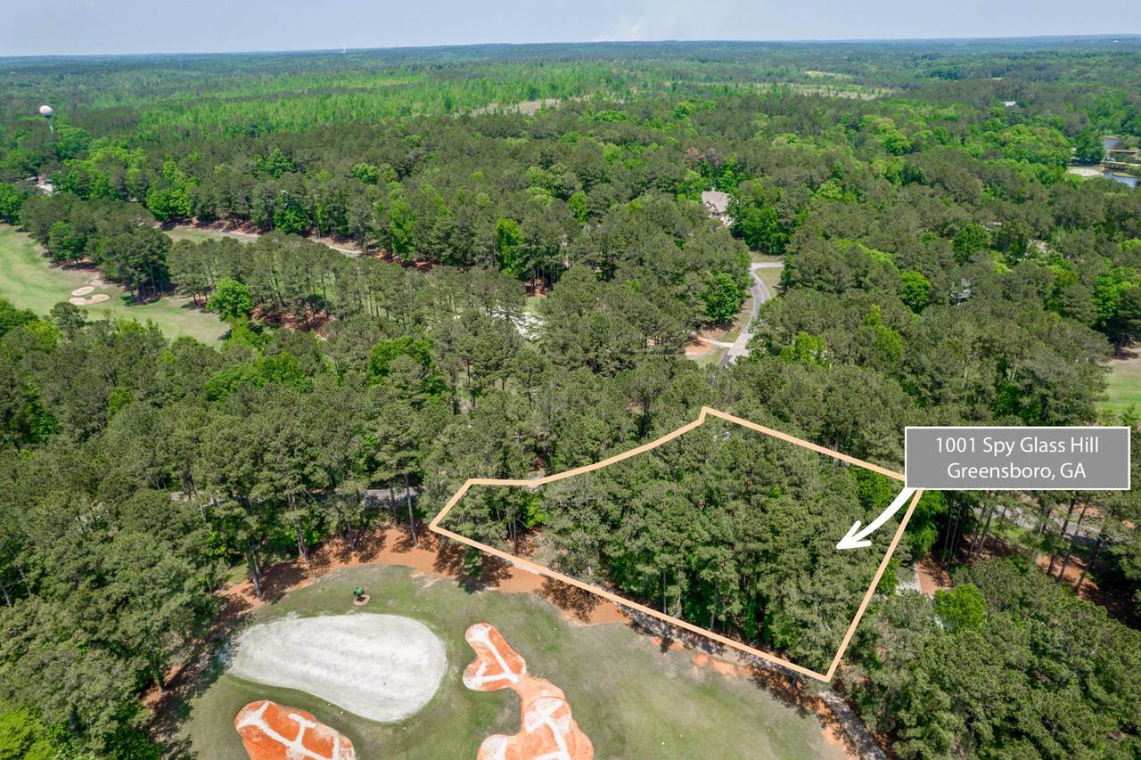1001 Spyglass Hill - Photo 1