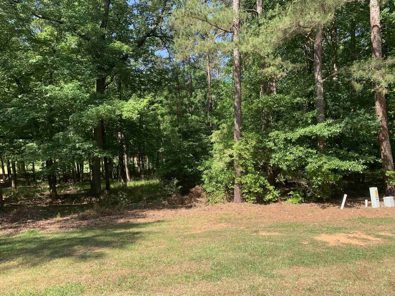 1121 Scull Shoals Drive - Photo 1