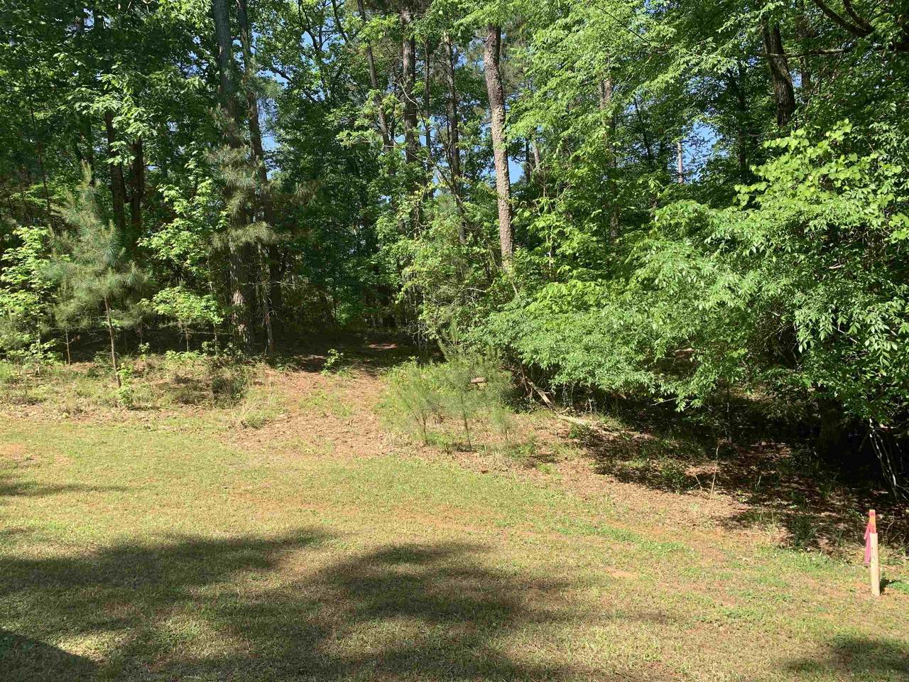 1091 Scull Shoals Drive - Photo 1