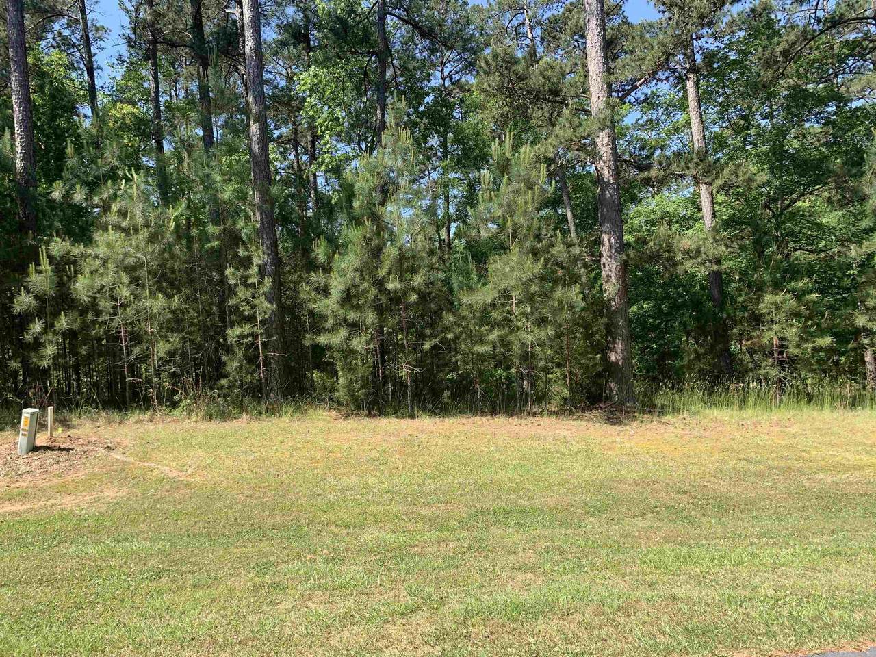 1141 Scull Shoals Drive - Photo 1