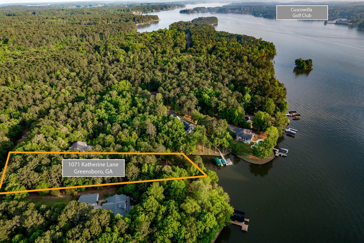 1071 Katherine Lane - Photo 1