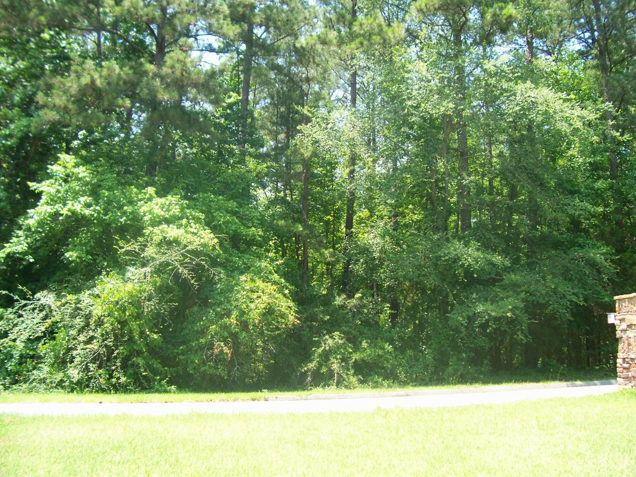 Lot 6 Long Shoals Avenue - Photo 1