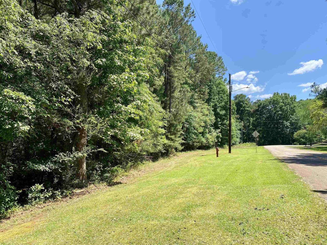 1030 Twin Pines Circle - Photo 1