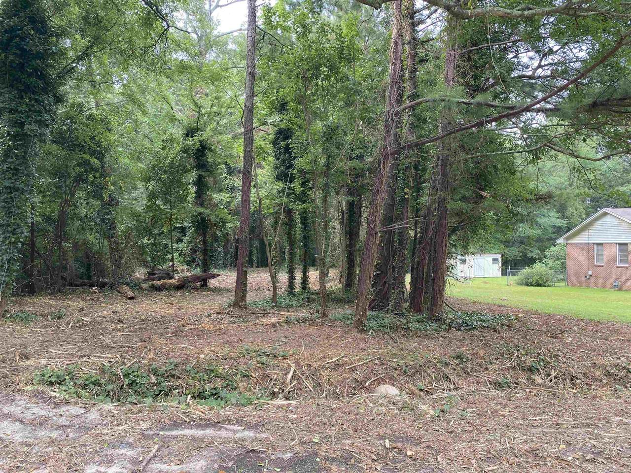 Lot 19 Spruce Lane - Photo 1