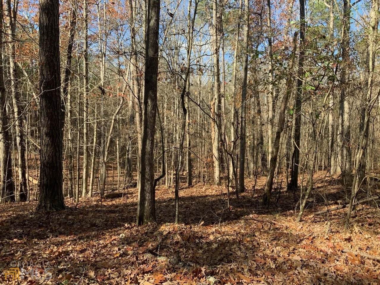 2381 Sandy Creek Road - Photo 1