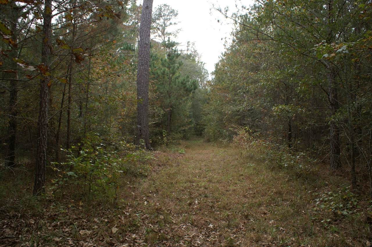 7031 Springfield Road - Photo 1