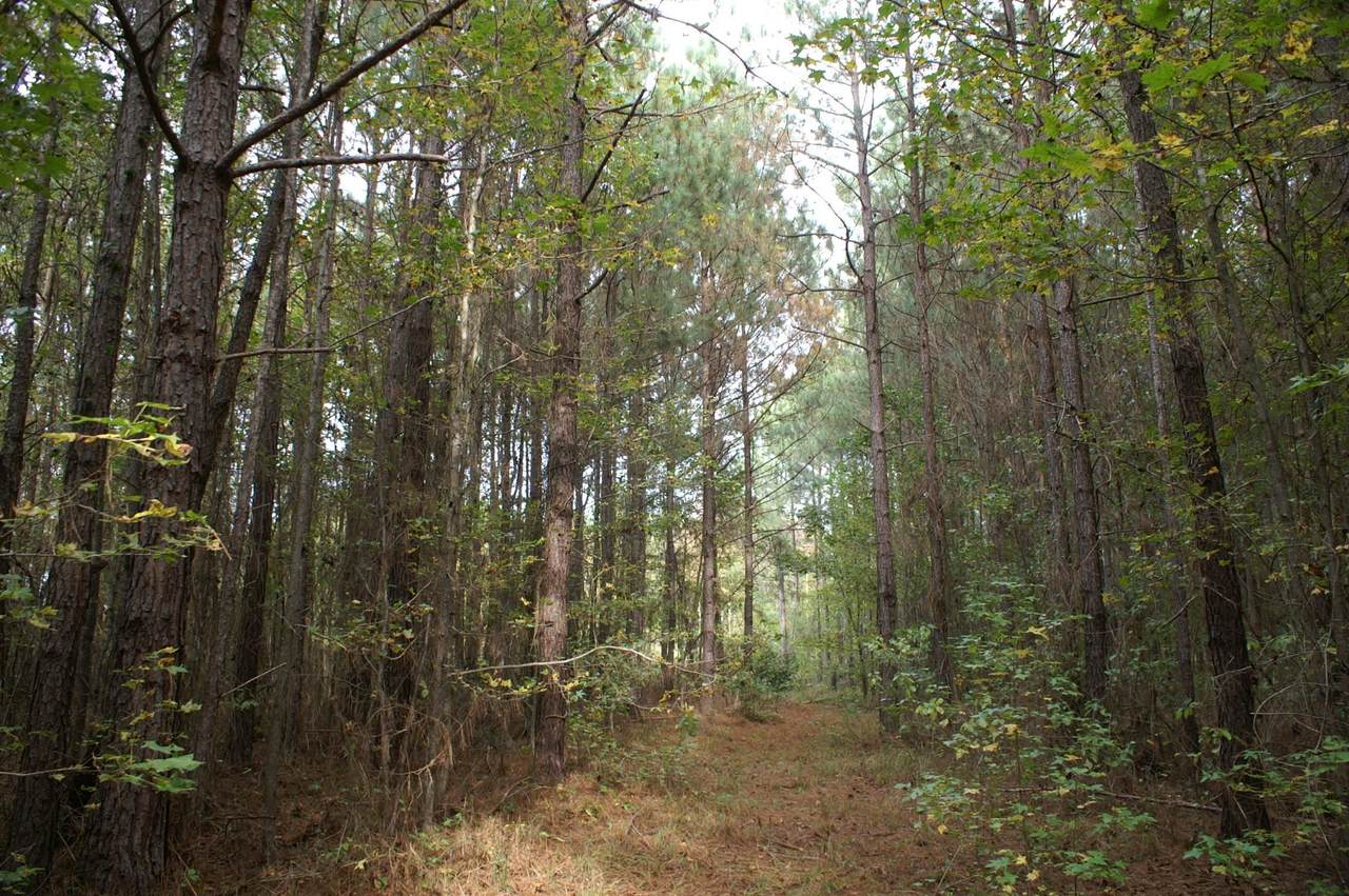 6987 Springfield Road - Photo 1