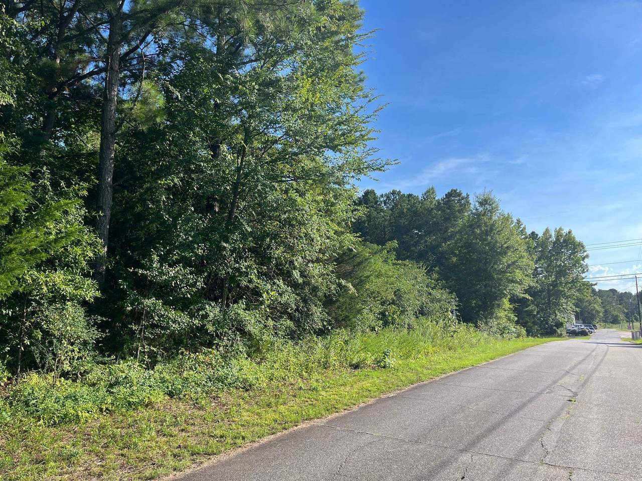 3.13 Acres Coleman Boulevard - Photo 1
