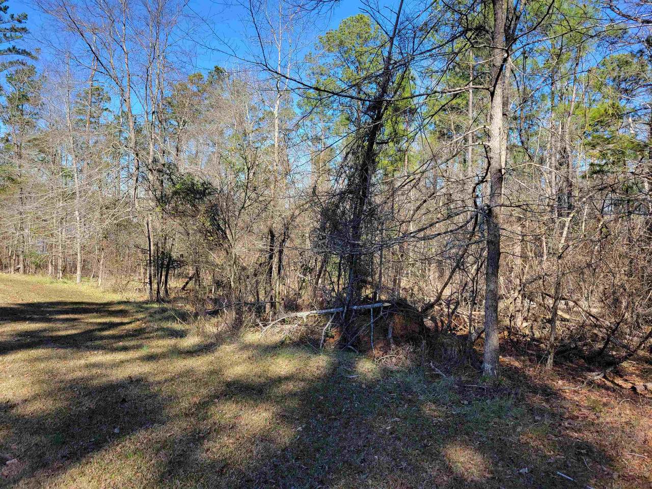 00 Pine Knoll Lane - Photo 1