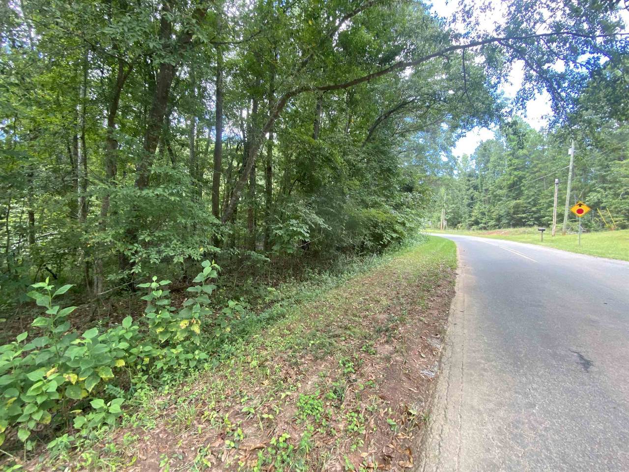 0 Blue Branch Road - Photo 1