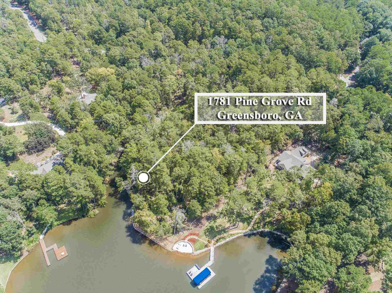 1781 Pine Grove - Photo 1