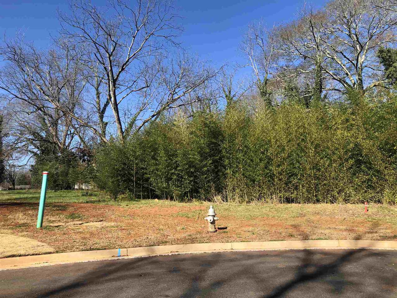 699 Foster Park Ln - Photo 1