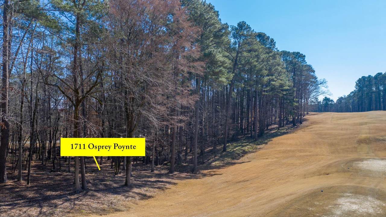 1711 Osprey Poynte - Photo 1