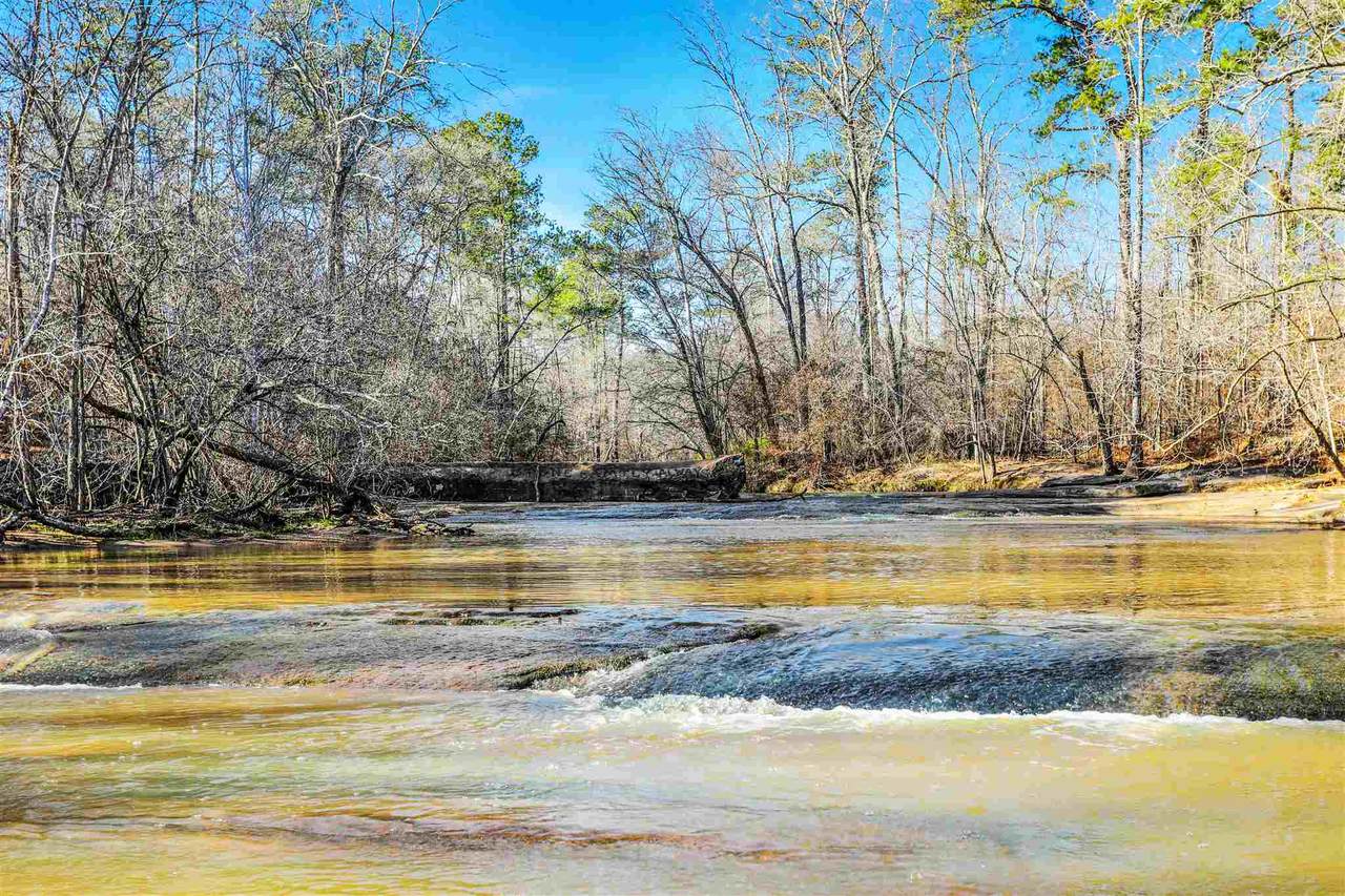 209.67 Pea Ridge Road - Photo 1