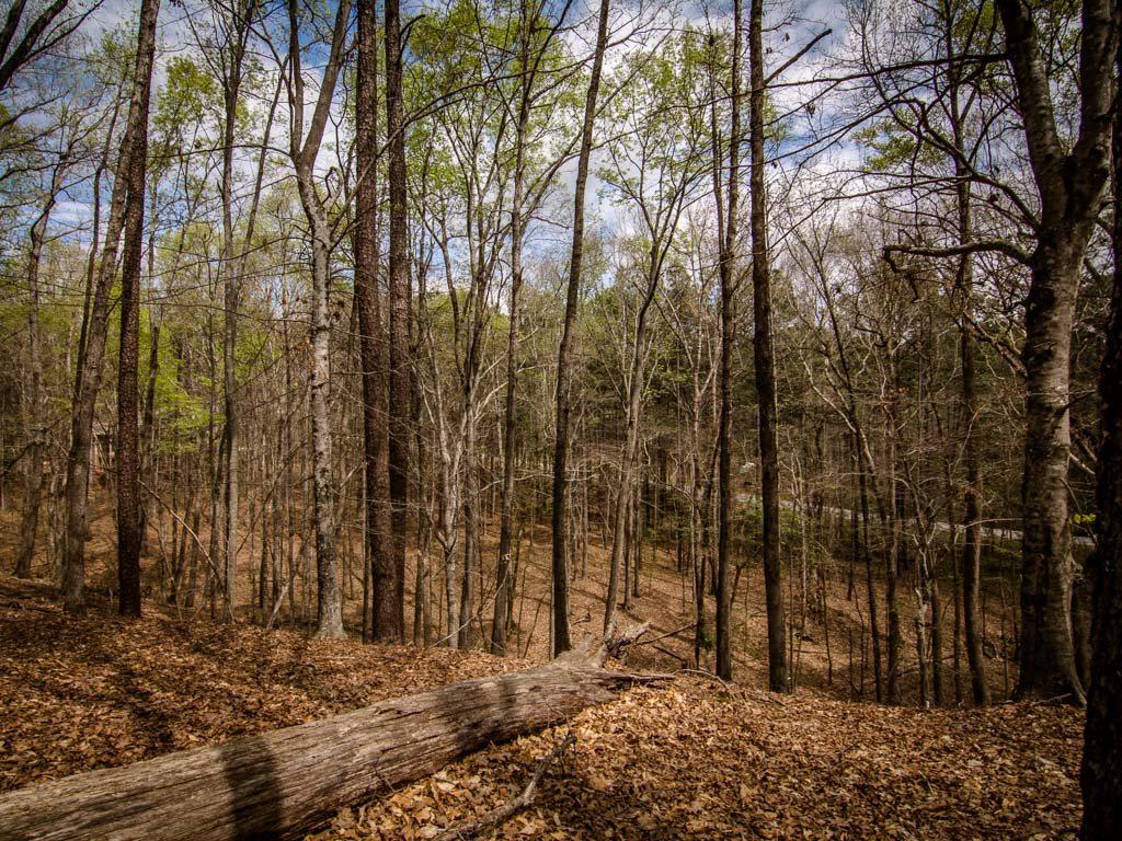 1081 Callahans Ridge - Photo 1