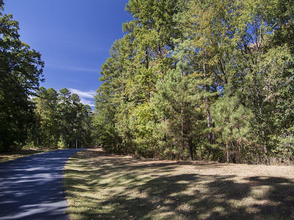1090 Dejarnet Place - Photo 1