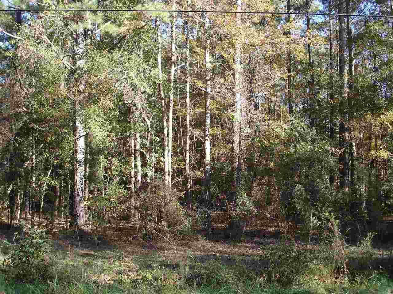 Lots 281,282 Crooked Creek Road - Photo 1