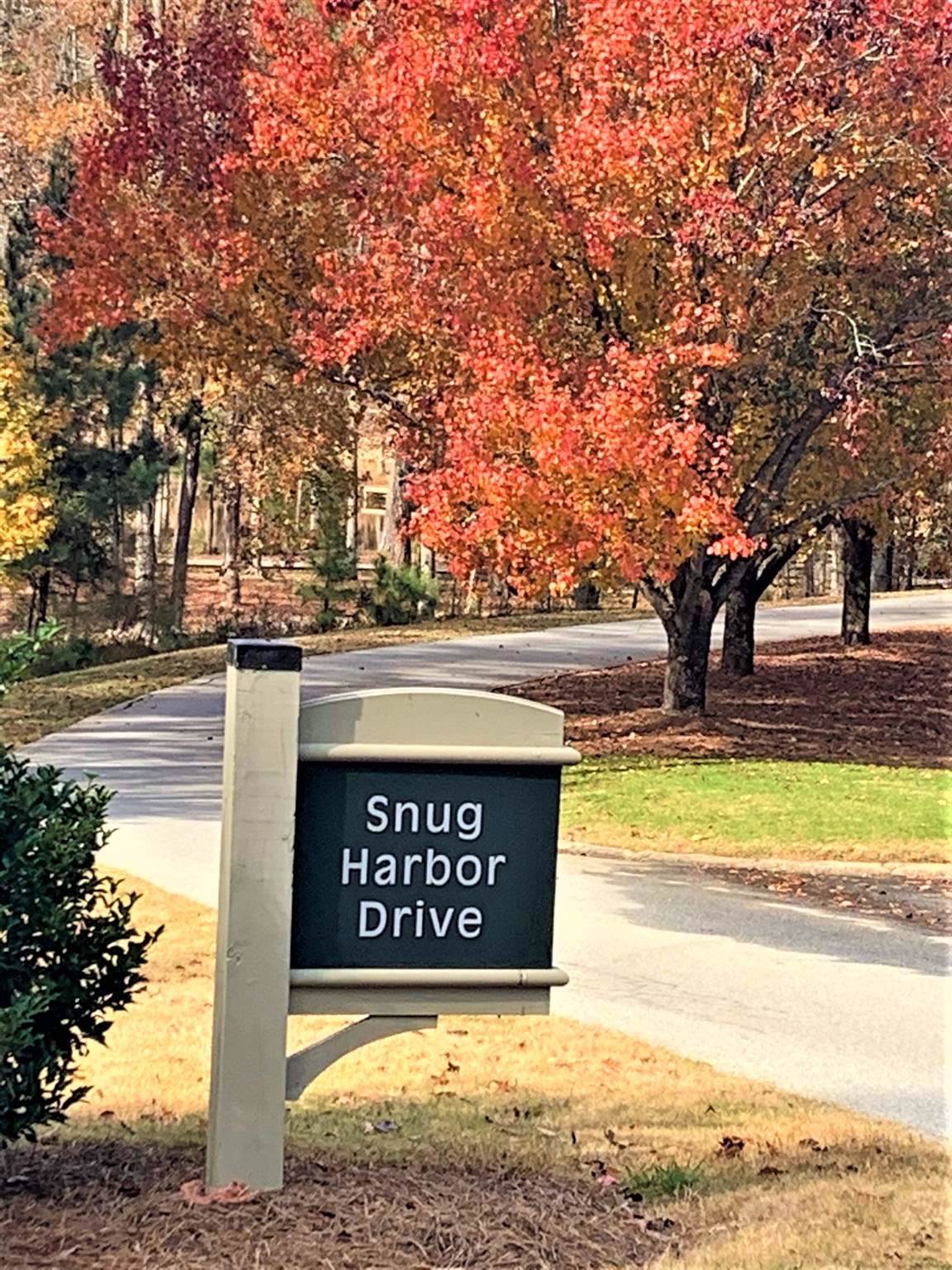 1520 Snug Harbor Drive - Photo 1