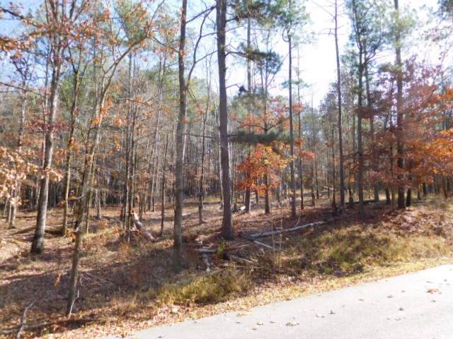1050 Pinehurst Drive - Photo 1
