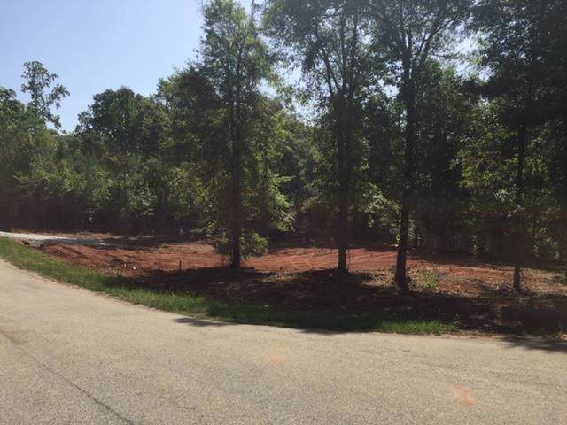 129 High Bluff Court - Photo 1