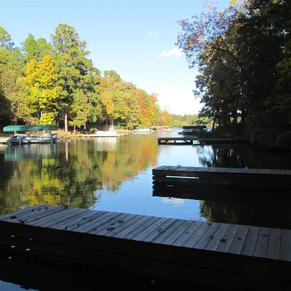 1000 Troublesome Creek Lane - Photo 1
