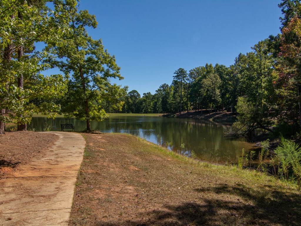 1190 Bennett Springs Drive - Photo 1