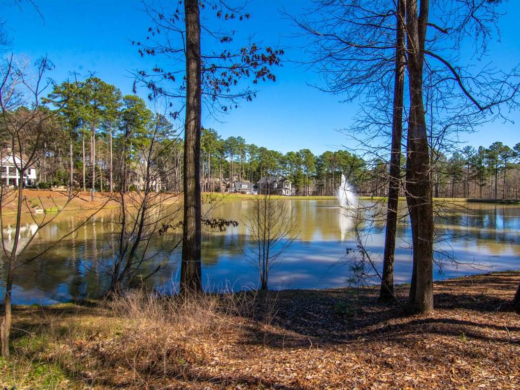 1191 Swift Creek - Photo 1