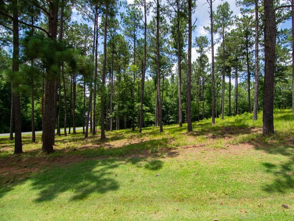 1110 Long Cove Drive - Photo 1
