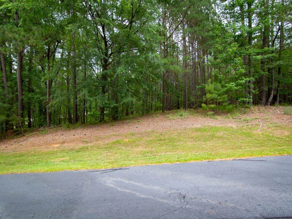 1070 Wrayswood Circle - Photo 1