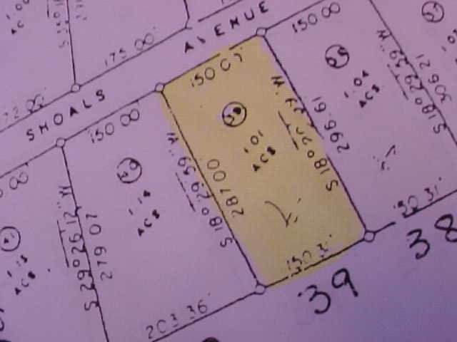 P 124A074 Long Shoals Avenue - Photo 1