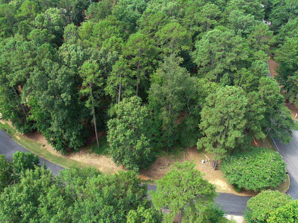 1001 Plantation Point Drive - Photo 1