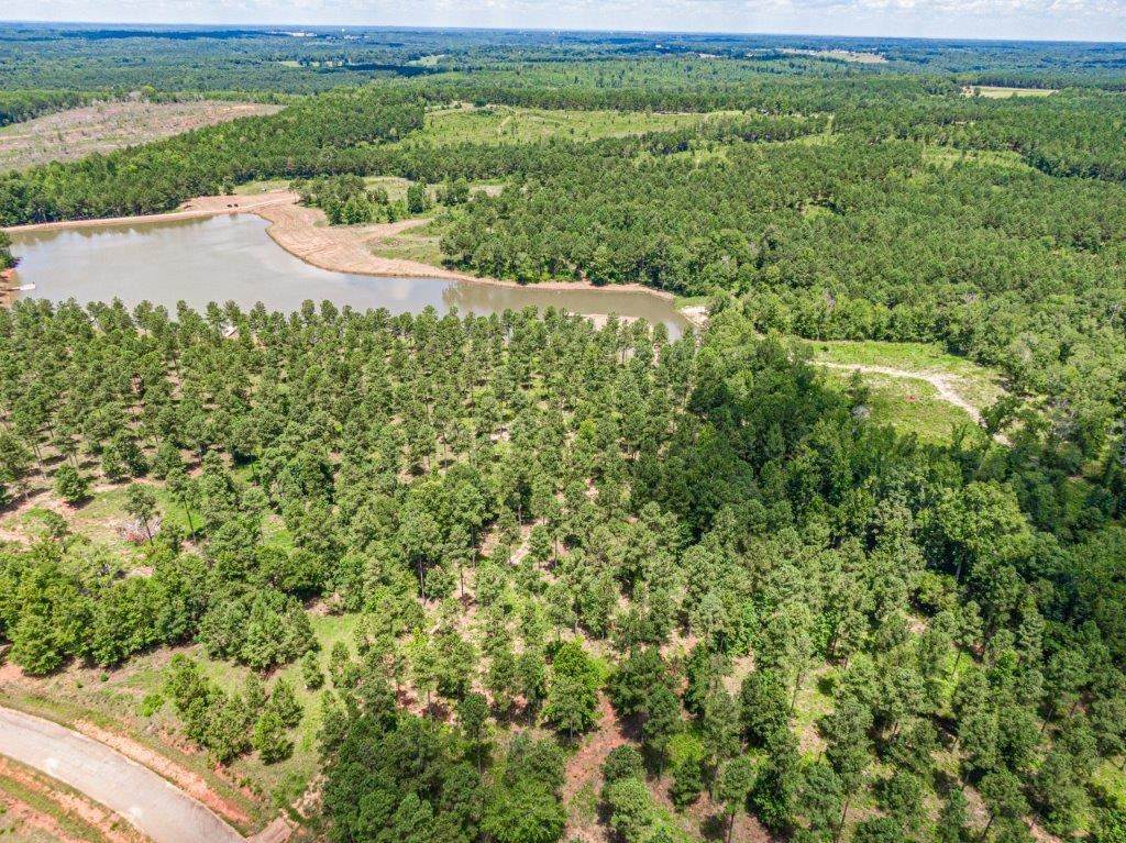 475 Pea Ridge Road - Photo 1