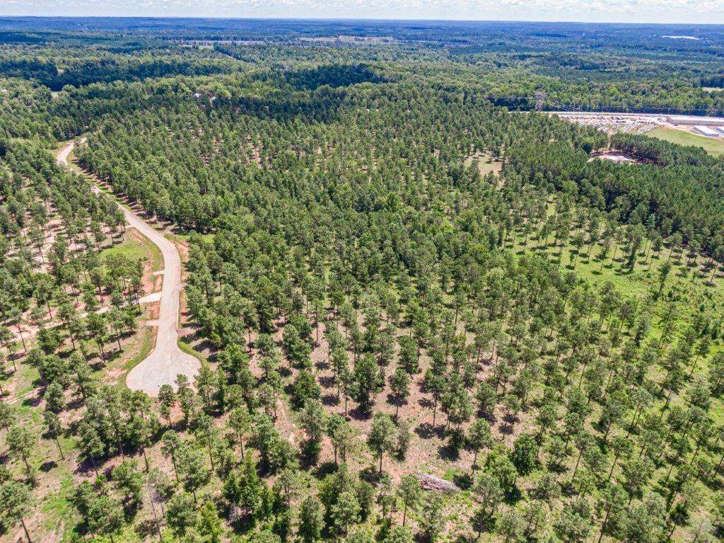 475 Pea Ridge Road - Photo 1