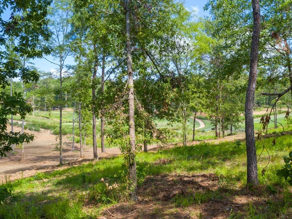 1190 Rose Creek - Photo 1