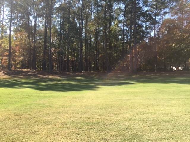 1680 Club Drive - Photo 1